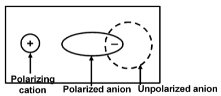 General Characteristic Of The Compounds Of The Alkali Metals 